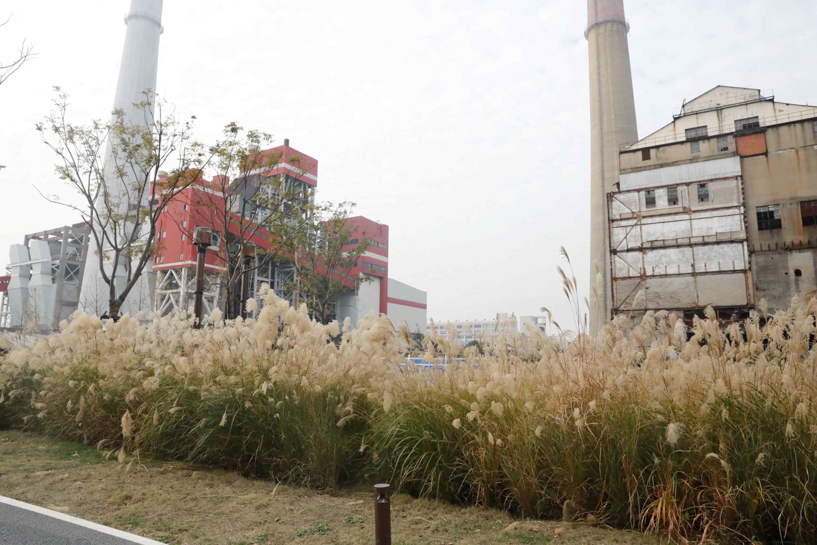 ​德赢官网Vwin部门工会组织教职工健步走活动